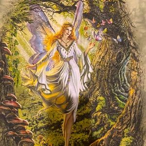 The mountain fairy T shirt. Super cute. Worn a few times.